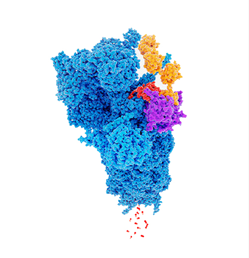 TPD (Target Protein Degrader) image